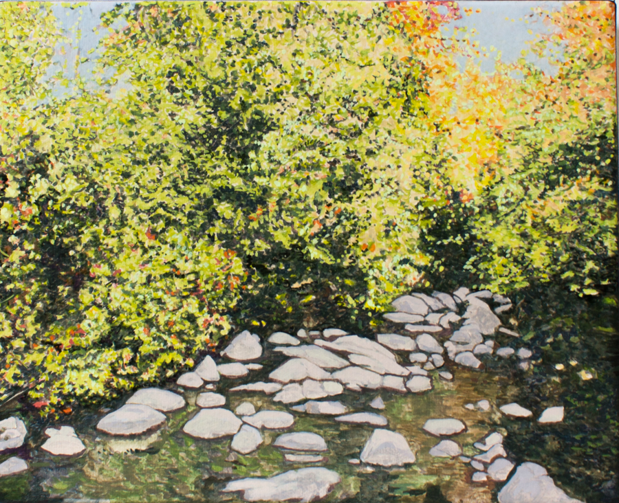 Sentier de roches dans la rivière (Laurentides, QC)