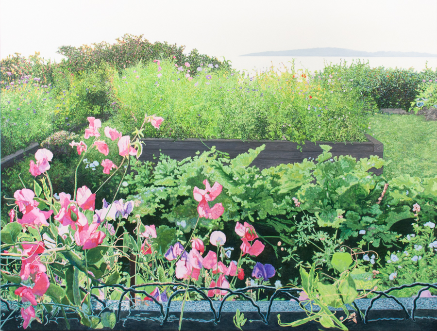 Read more about the article Jardin de fleurs d’été (série #3) (Kamouraska, QC)     2025