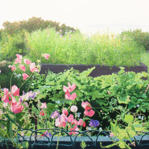Jardin de fleurs d’été (série #3) (Kamouraska, QC)     2025