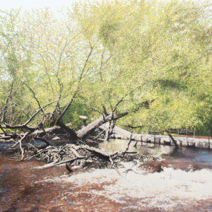 Peinture à l'huile sur toile de l'artiste Julie Desmarais. Pont flottant et saule qui penche (Parc Régional de la Rivière du Nord, Laurentides, QC) 2025.