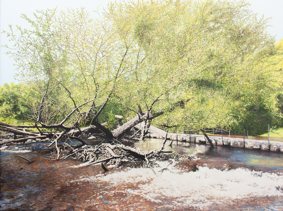 Pont flottant et saule qui penche (Parc Régional de la Rivière du Nord, Laurentides, QC) 2025. Peinture à l'huile sur toile de l'artiste Julie Desmarais. Pont flottant et saule qui penche (Parc Régional de la Rivière du Nord, Laurentides, QC) 2025.