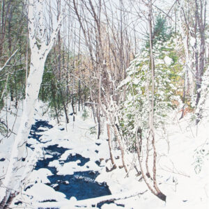 Painting by Julie Desmarais - Reveil de la riviere au printemps