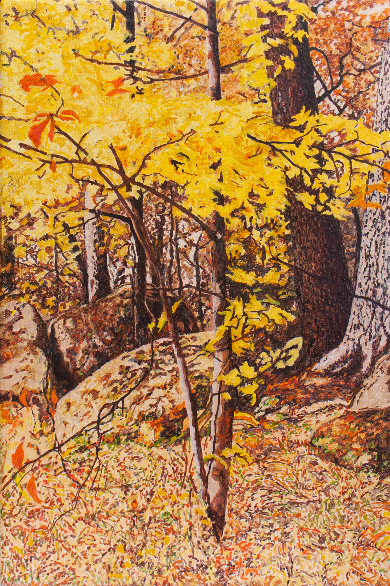 Scène d'automne (étude 2) (Stoney Lake, ON) 2026. Peinture à l'huile de l'artiste Julie Desmarais. Painting by Julie Desmarais - Scène d'automne (étude 2) (Stoney Lake, ON) 2026.